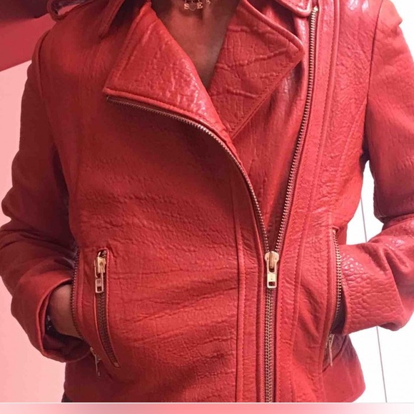 Jacket - Picture 5 of 7